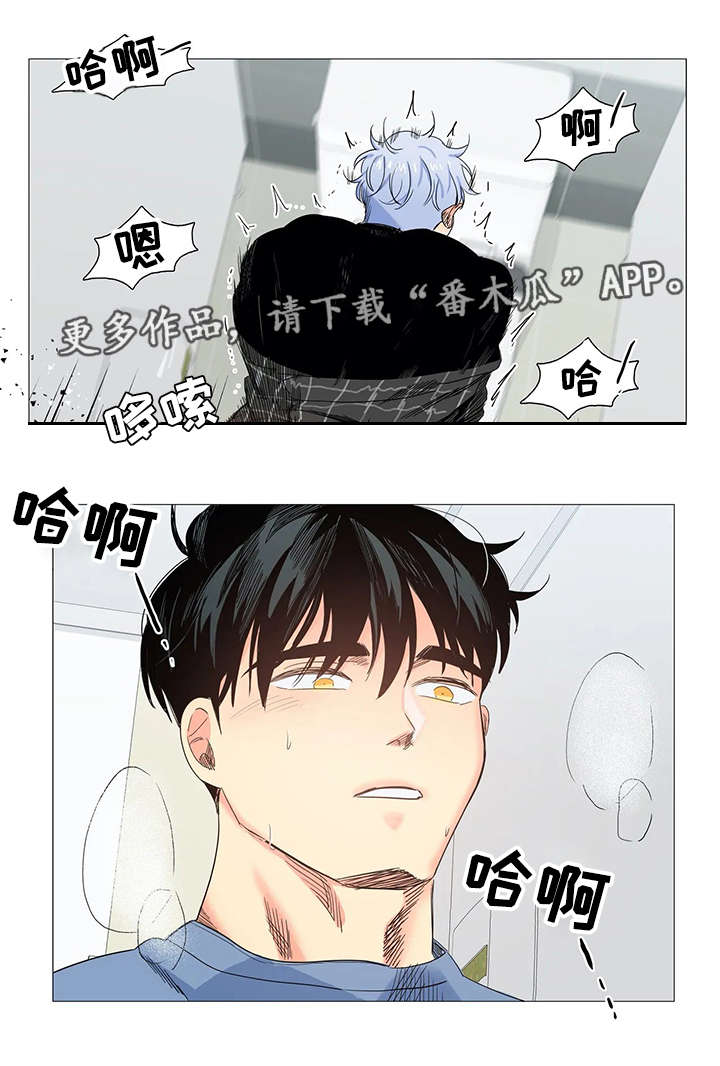 第19章：声音3