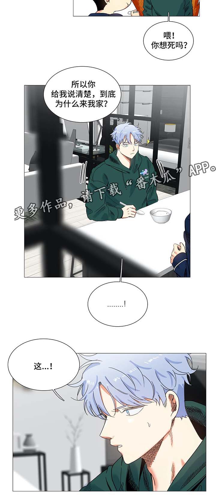 第44章：孽缘2