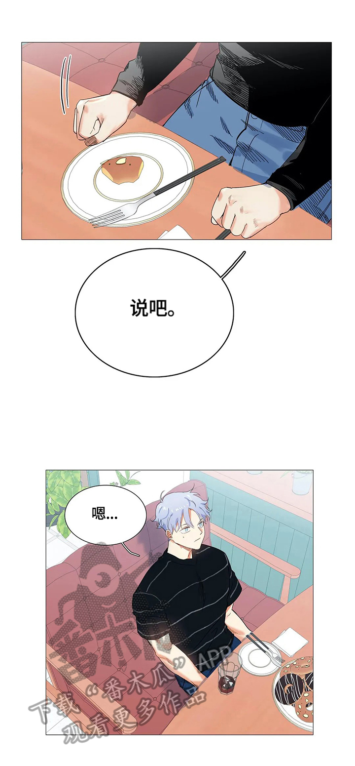 第52章：询问6