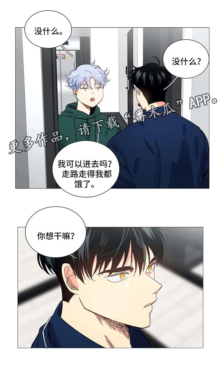 第43章：淤青5