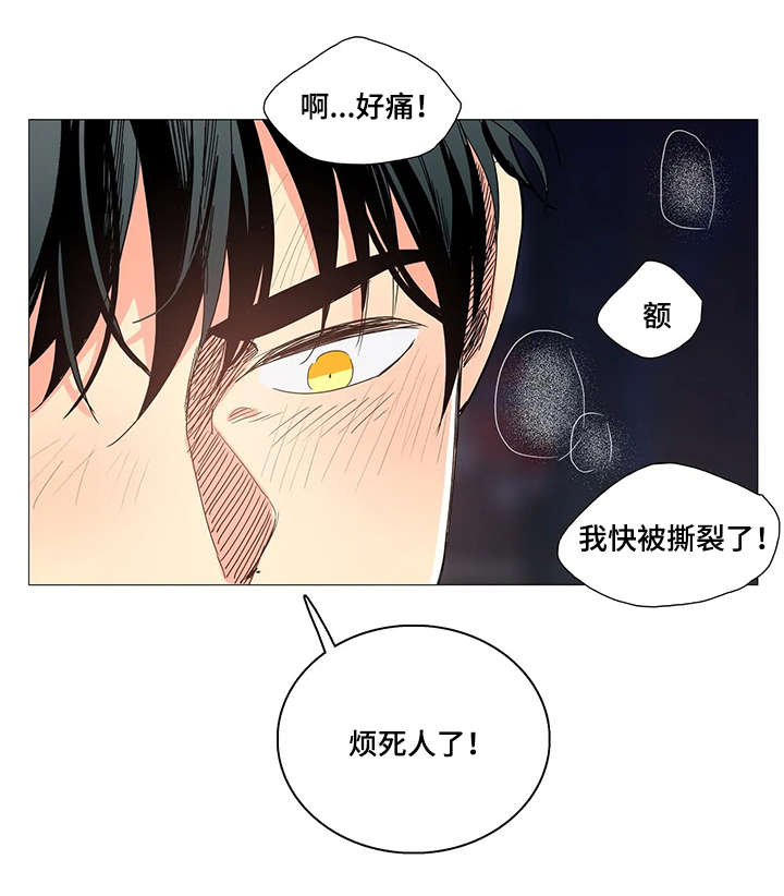 第27章：晕倒8