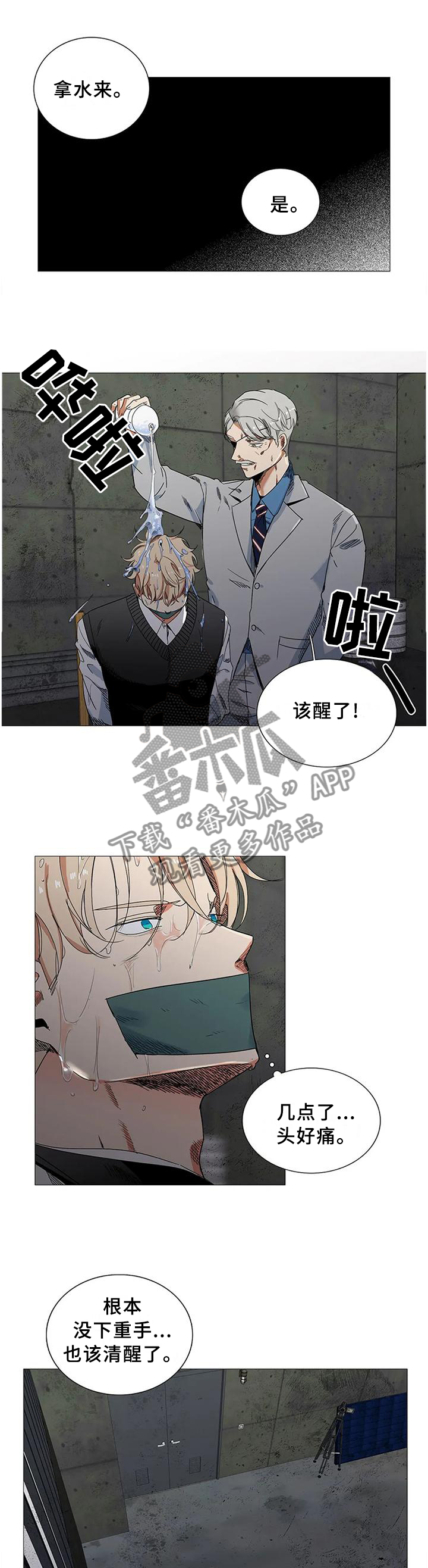 第74章：愚蠢的想法10