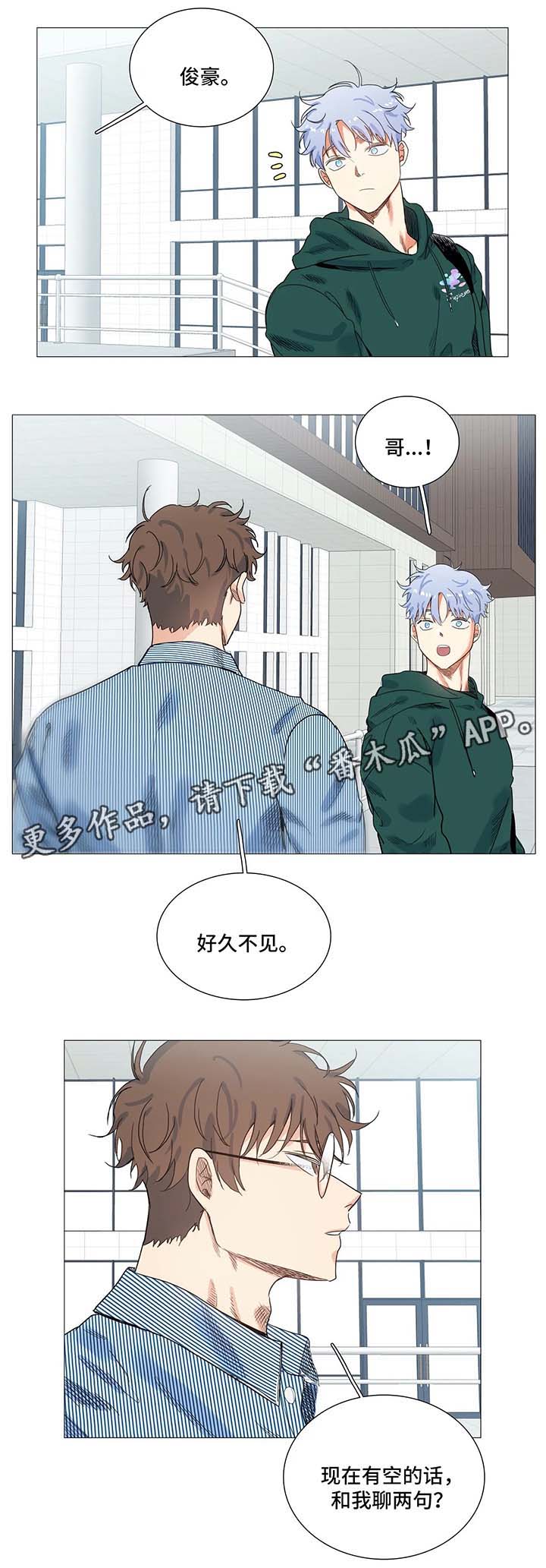 第41章：聊天4
