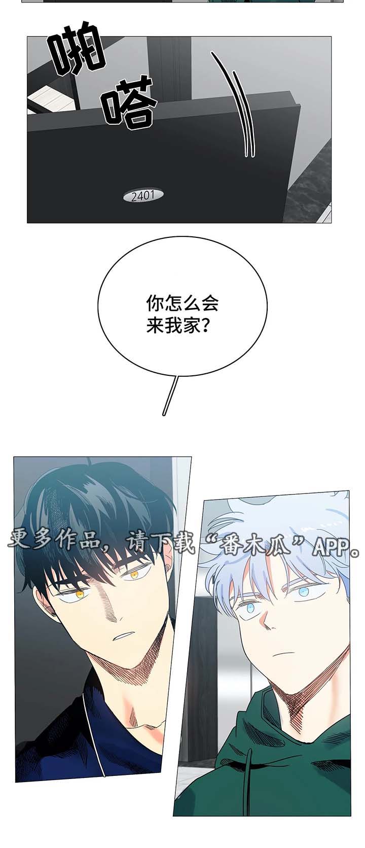 第43章：淤青4