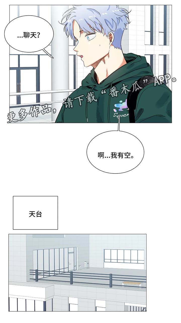第41章：聊天5