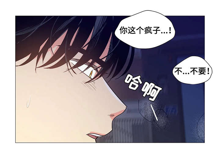 第27章：晕倒2