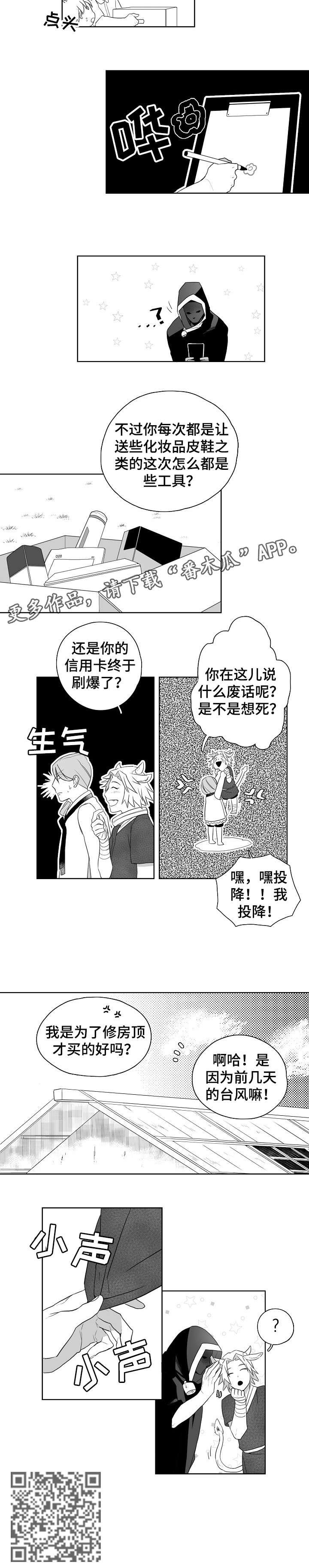 第11章：屋顶7