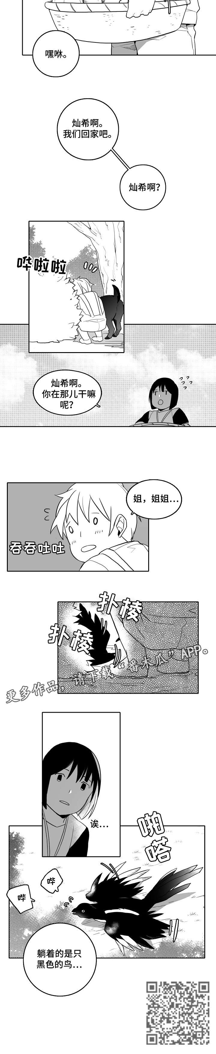 第18章：鸟6