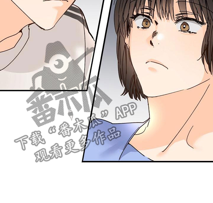 第19章：同样的结论16
