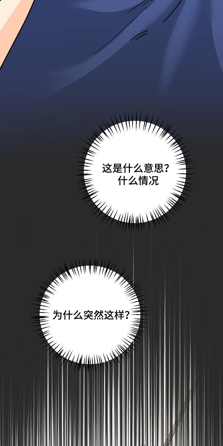 第41章：分手27