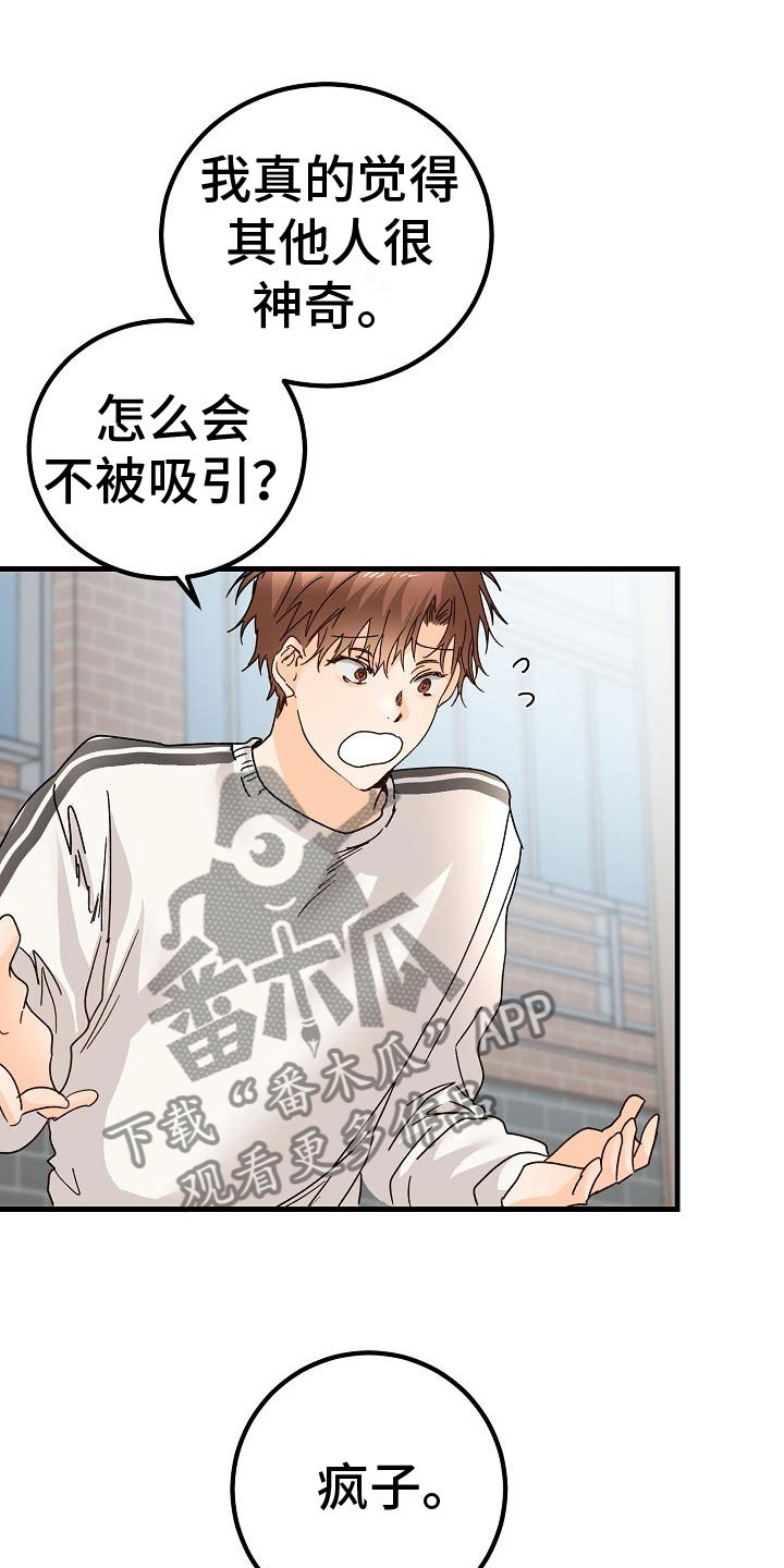第19章：同样的结论19