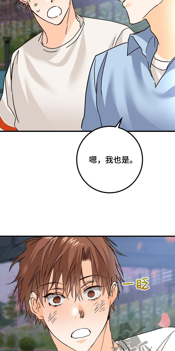第32章：恋爱24