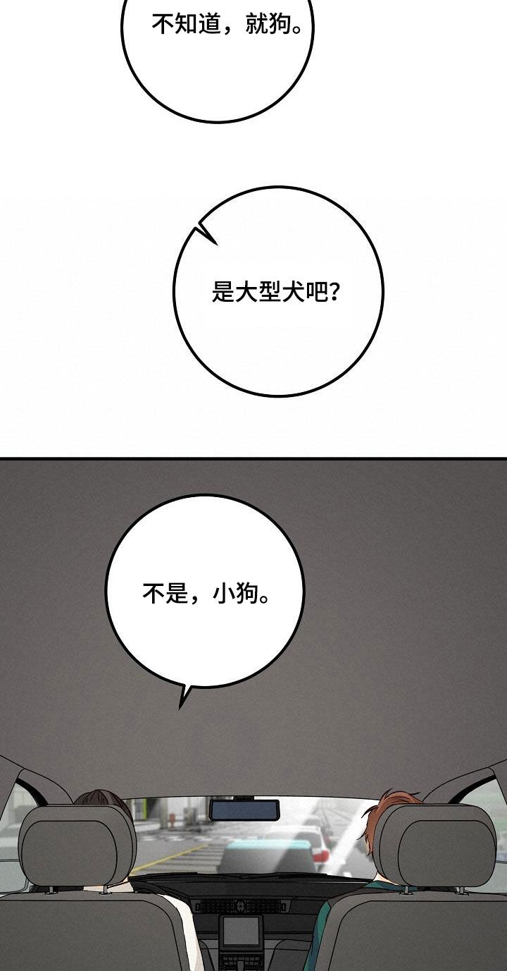 第38章：碰撞13