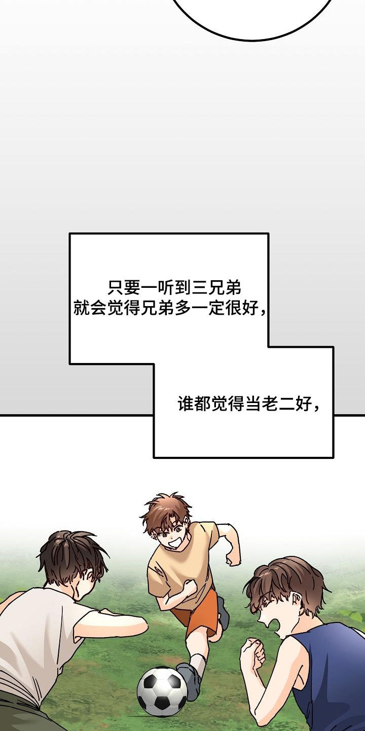 第47章：三兄弟20