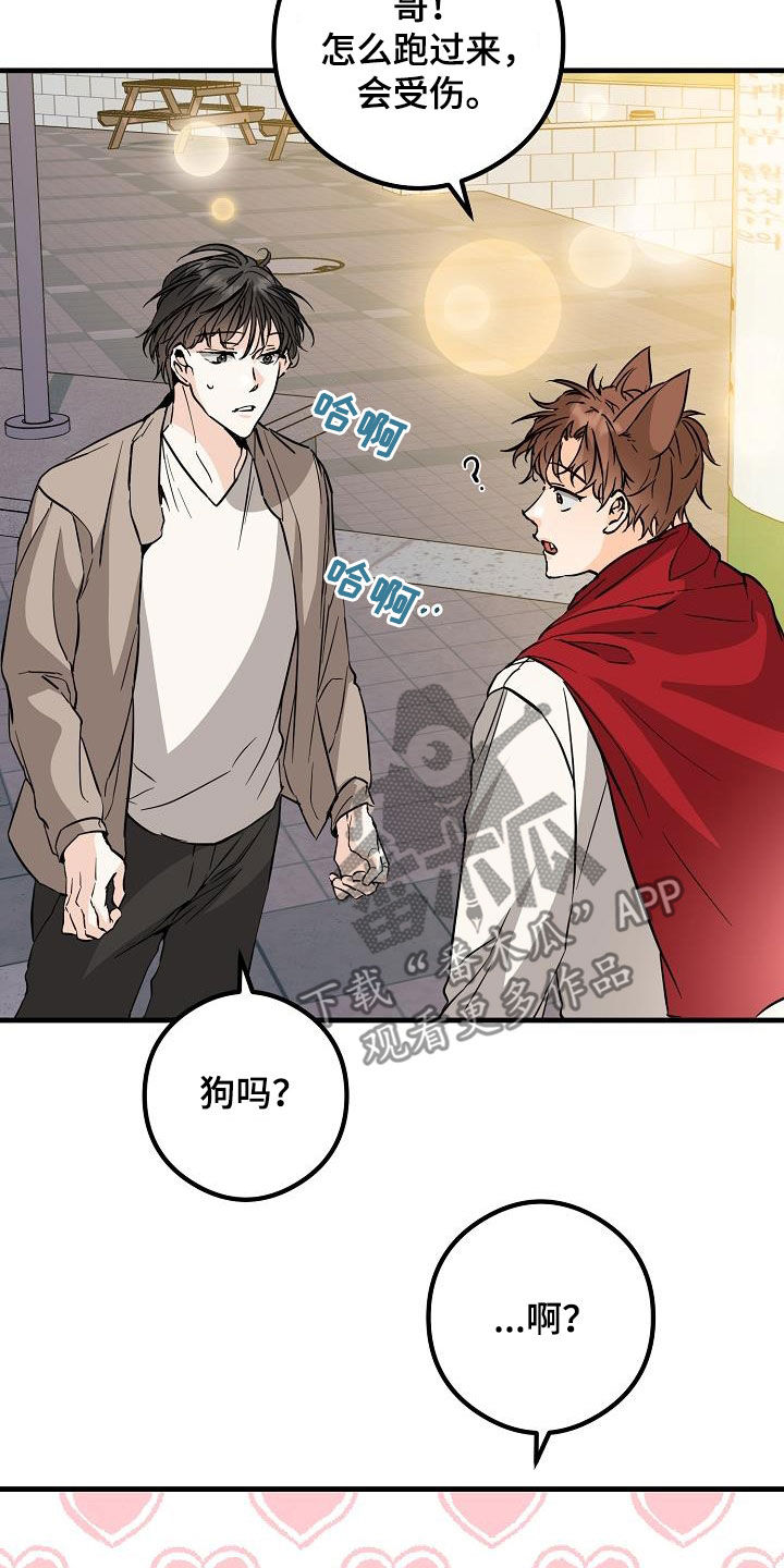 第65章：丢失28