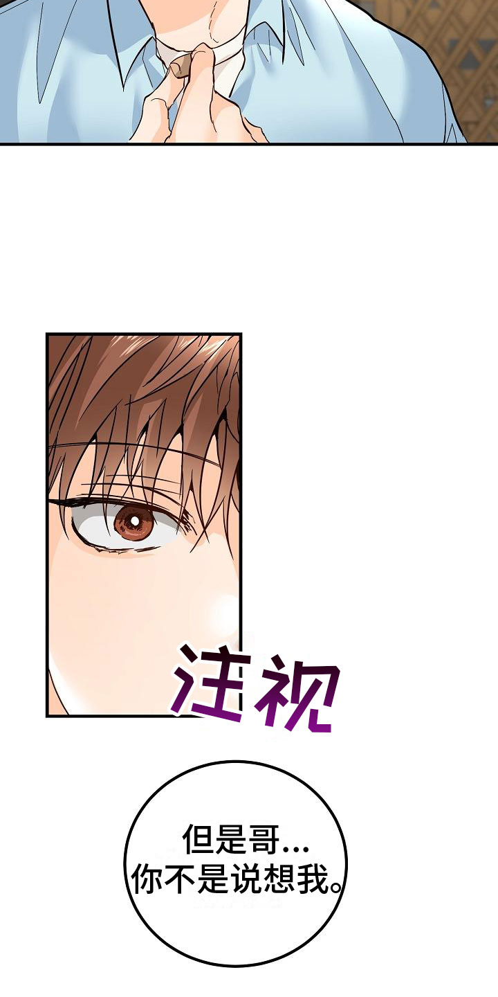 第17章：理想型15