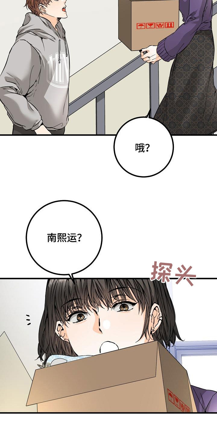 第59章：帖子13