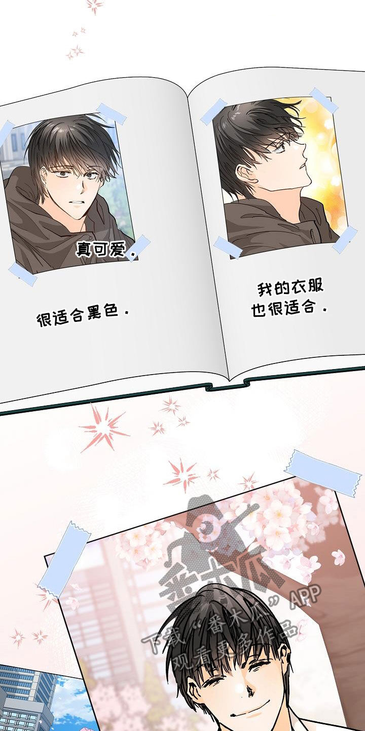 第63章：相册19