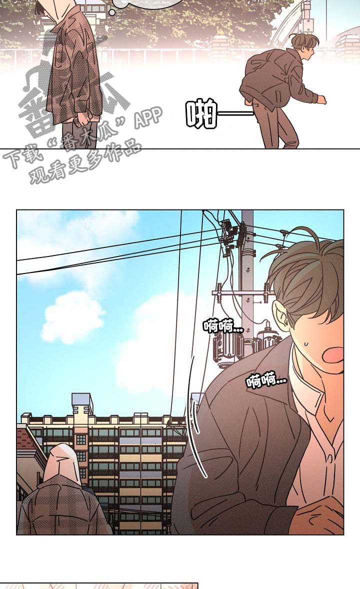 第80章：前妻1