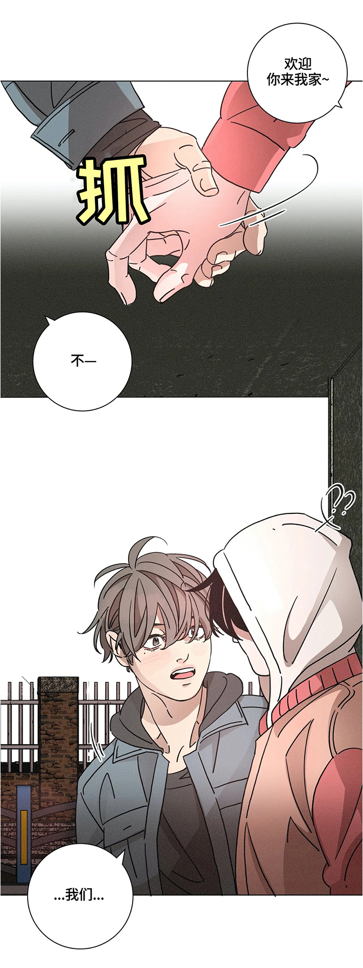 第62章：好奇心大爆发5