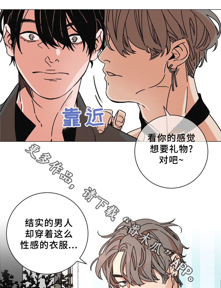 第37章：特别礼物13