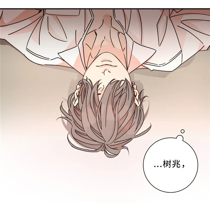 第50章：反客为主17