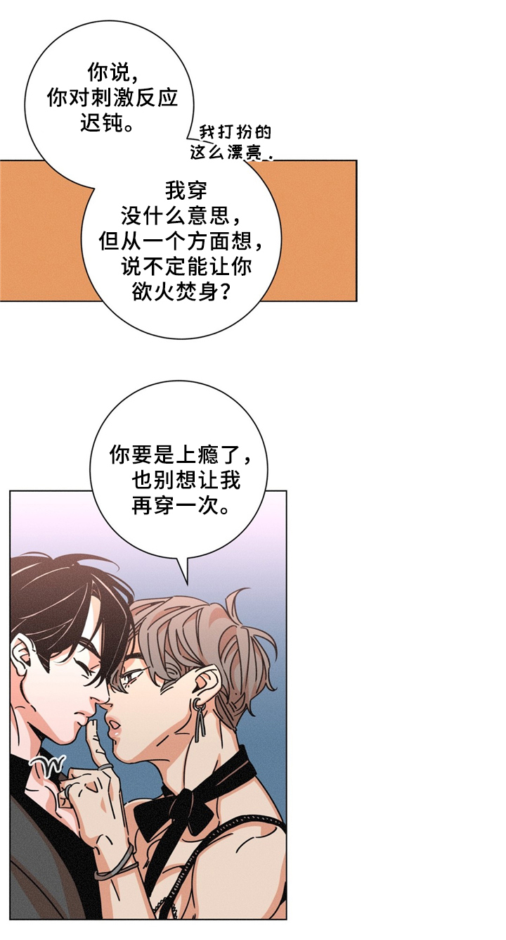 第37章：特别礼物15