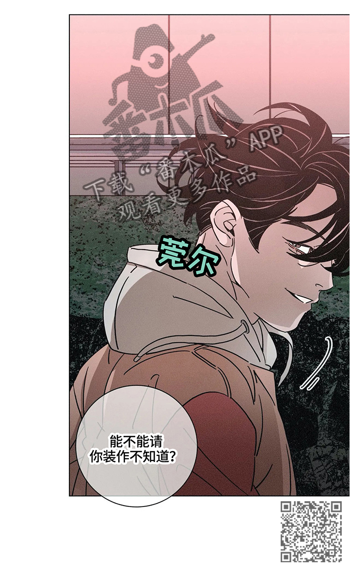 第65章：假装不知道13