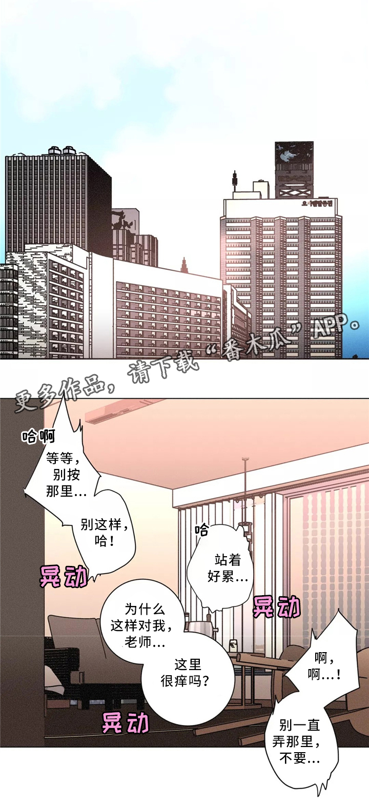 第49章：新的测试11