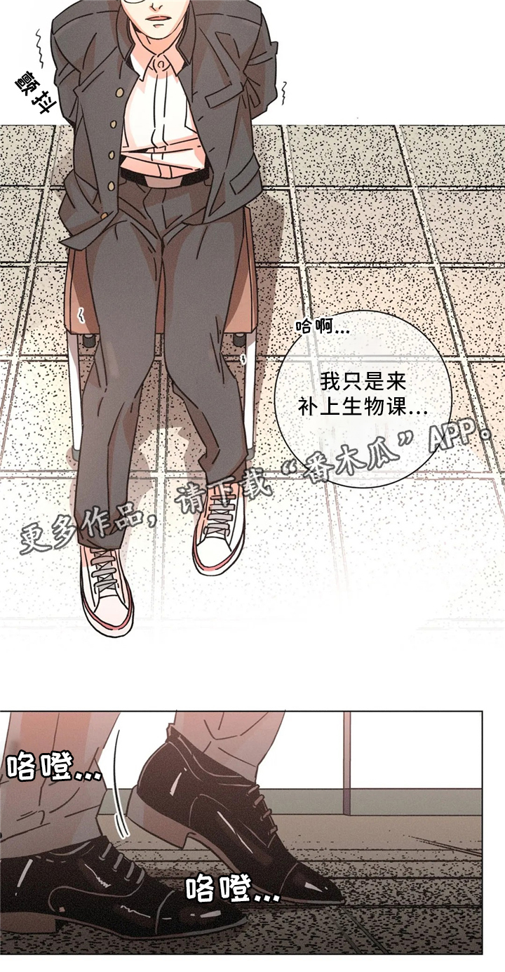 第48章：周六培训1