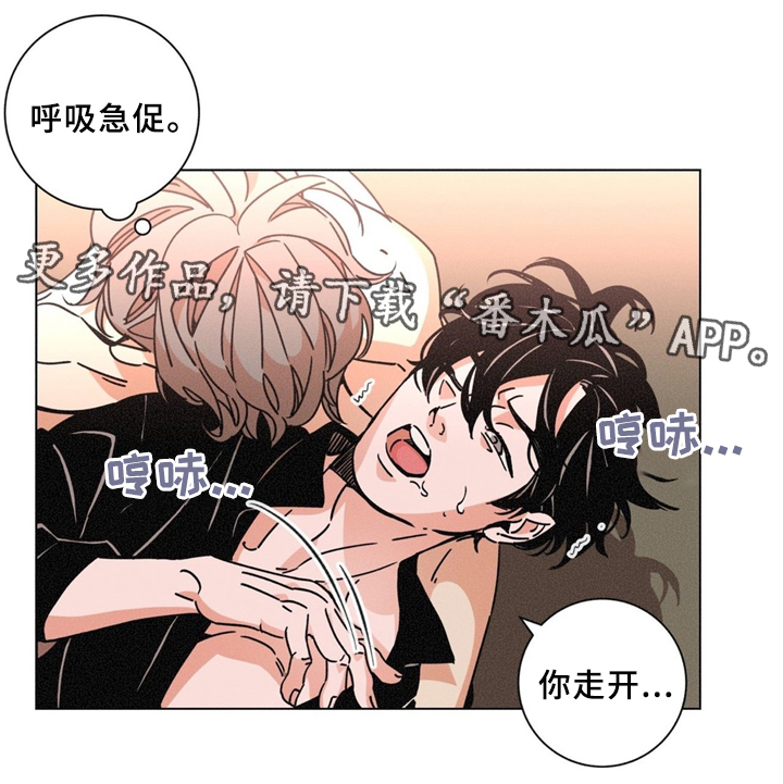 第38章：是我做错了9