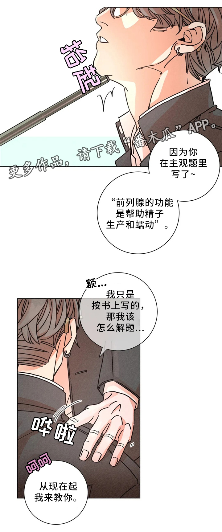 第48章：周六培训3
