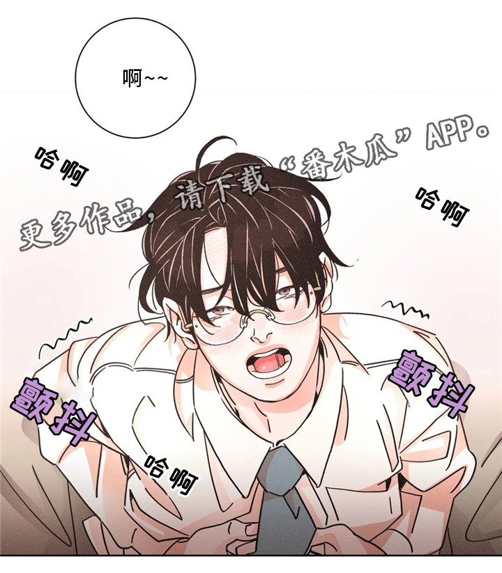 第50章：反客为主16