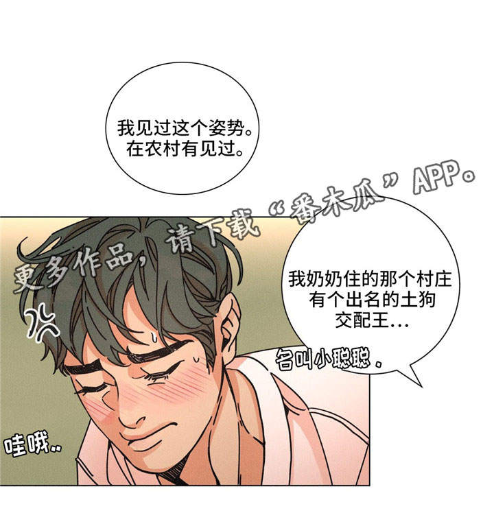 第29章：暖和18