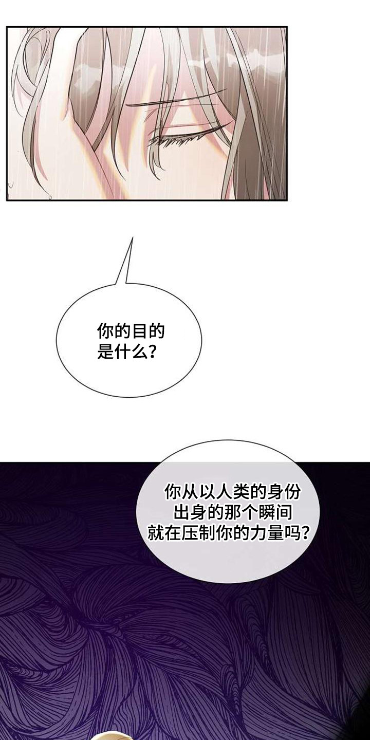第61章：表白6