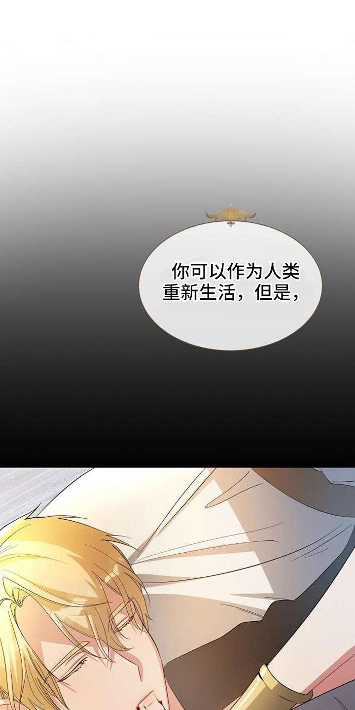 第74章：回去吧0