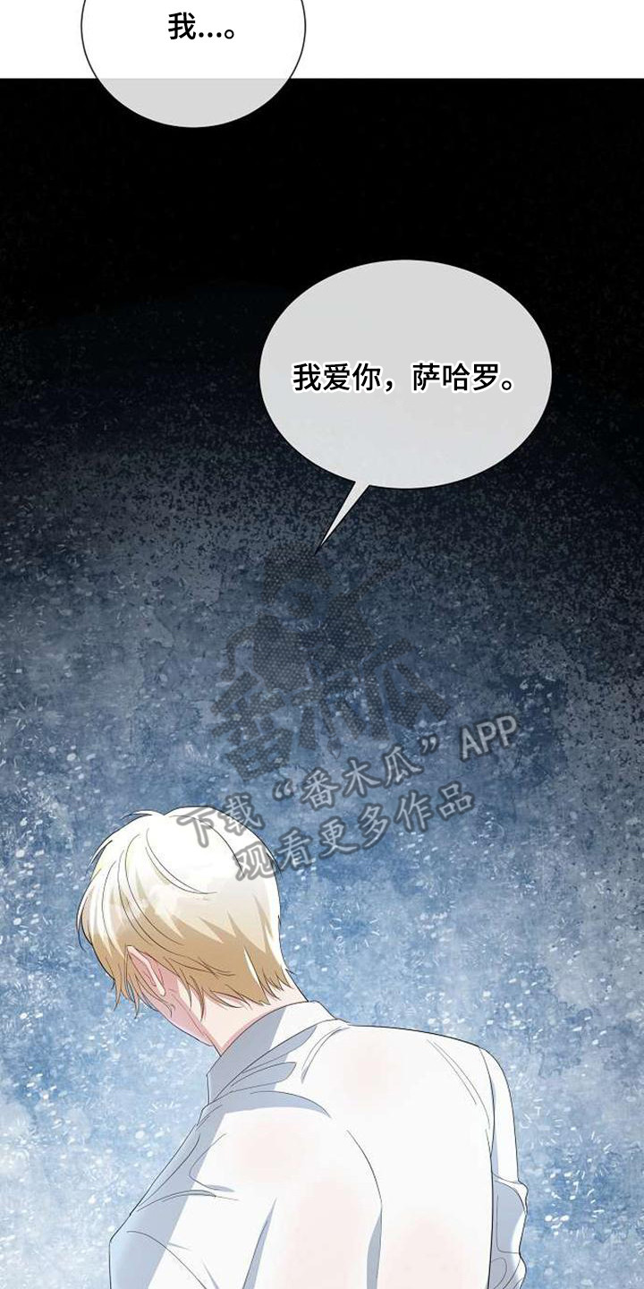第61章：表白20