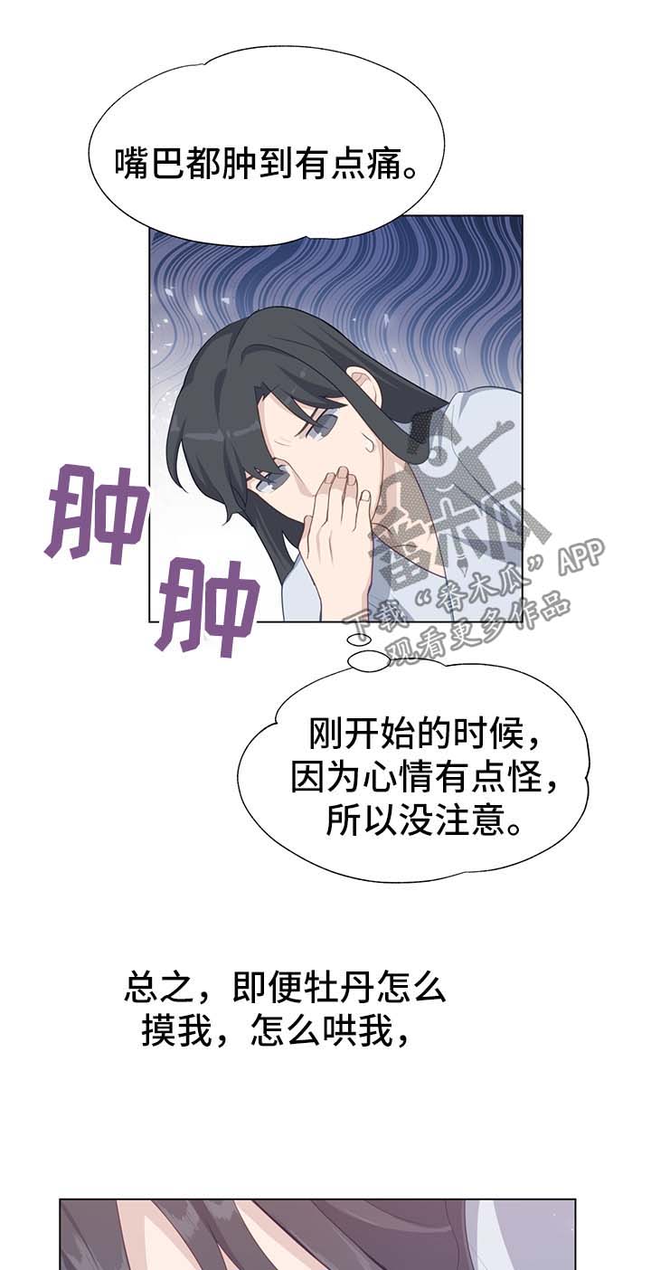 第54章：新材料18