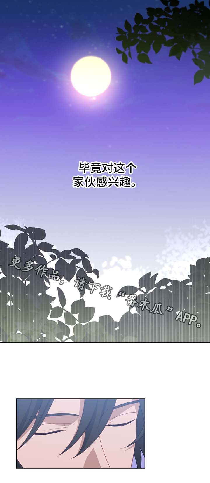 第54章：新材料13