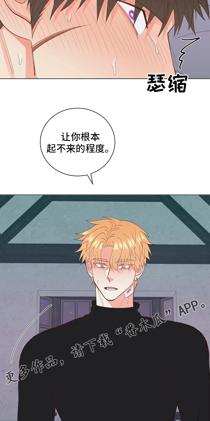 第42章：【番外】行吧17