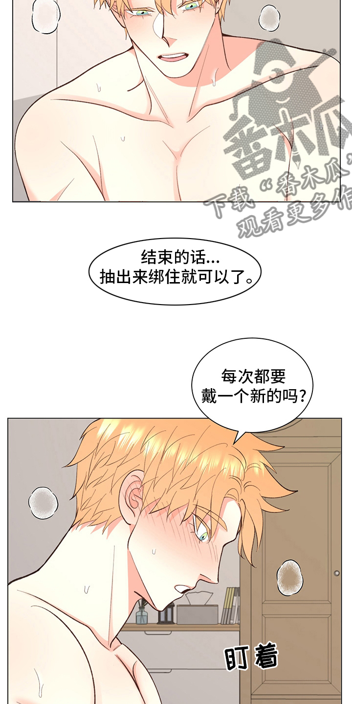 第37章：【番外】一起生活21