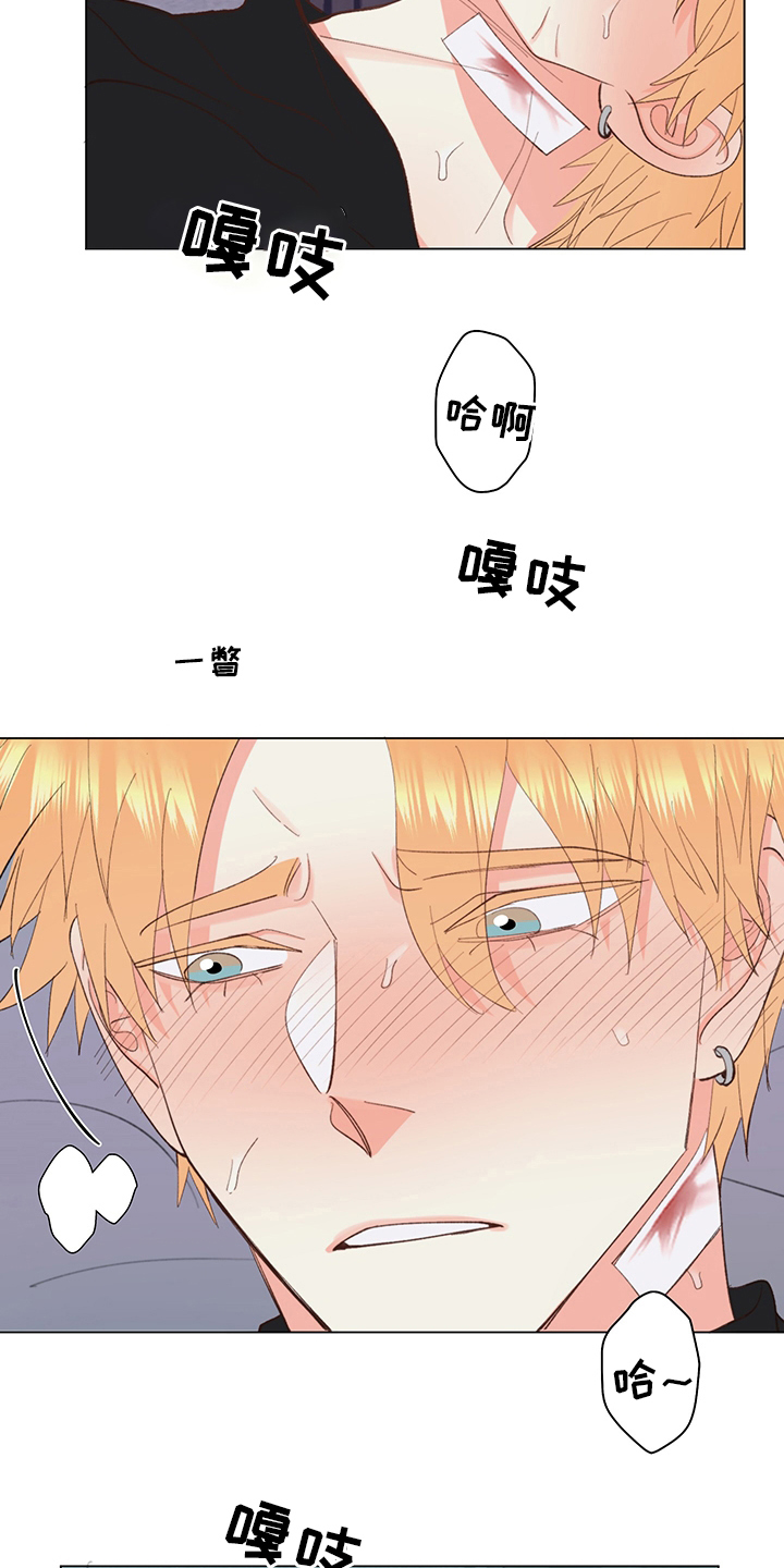第42章：【番外】行吧9