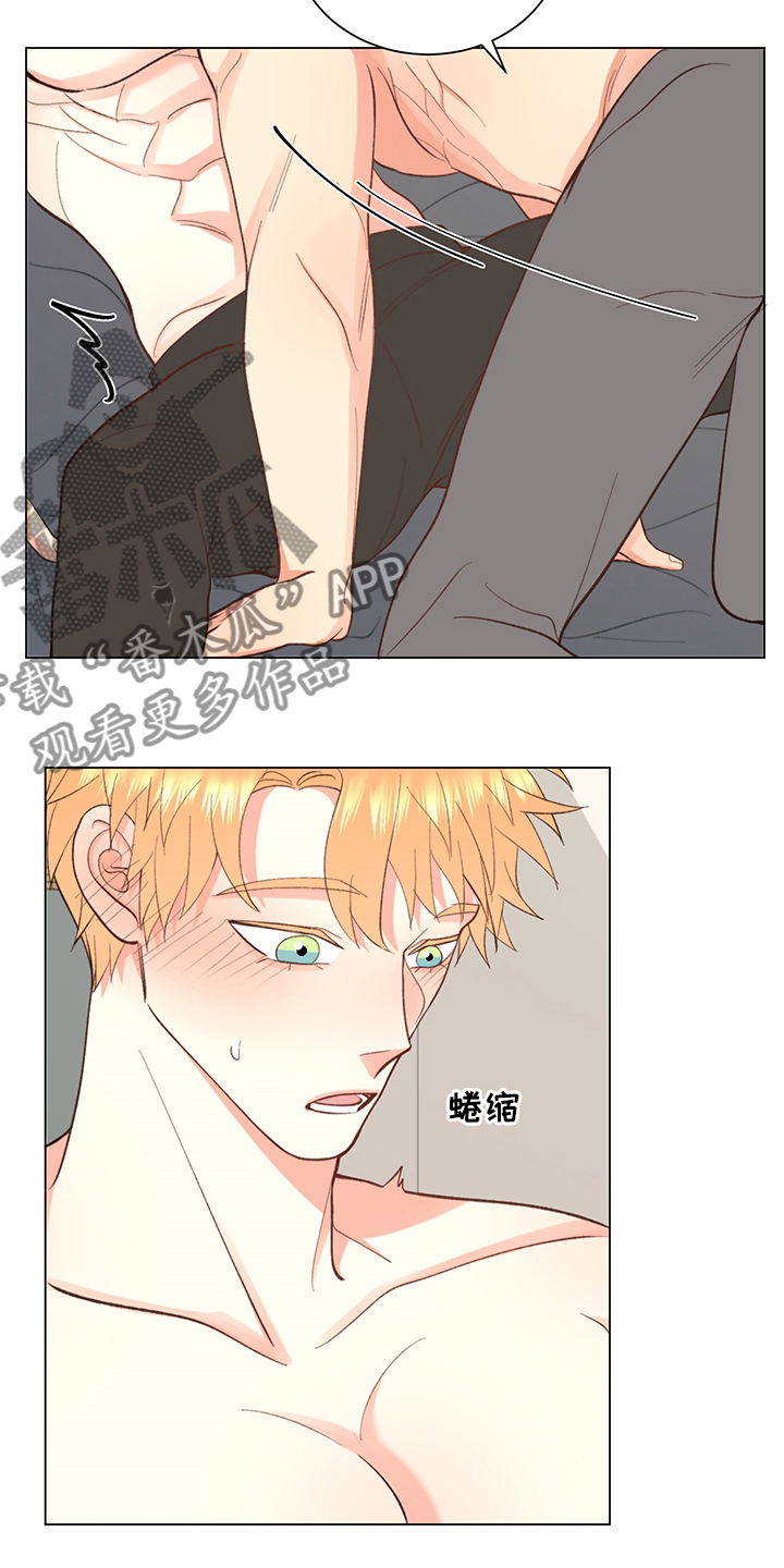 第37章：【番外】一起生活12