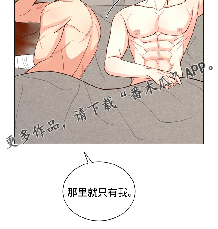 第43章：【番外】怎么回去16