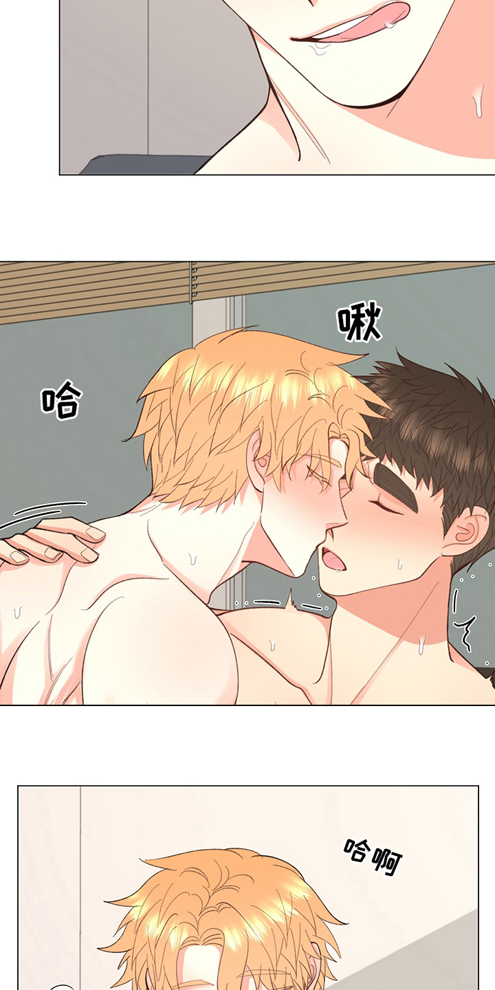 第37章：【番外】一起生活20