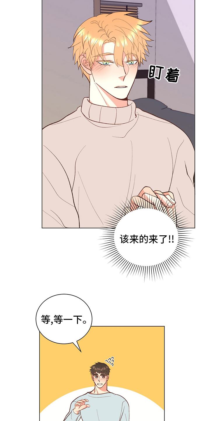 第37章：【番外】一起生活9