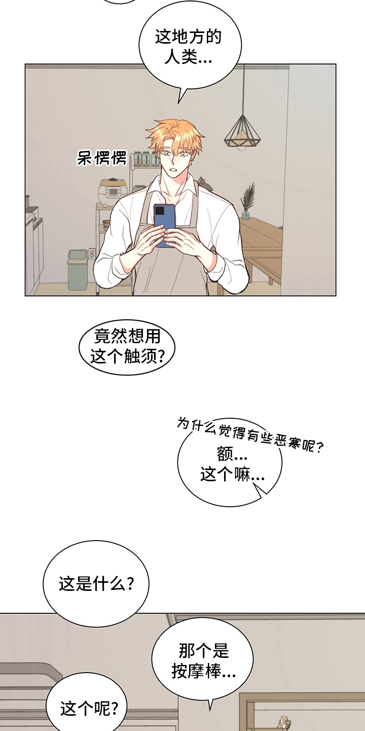 第38章：【番外】玩具9