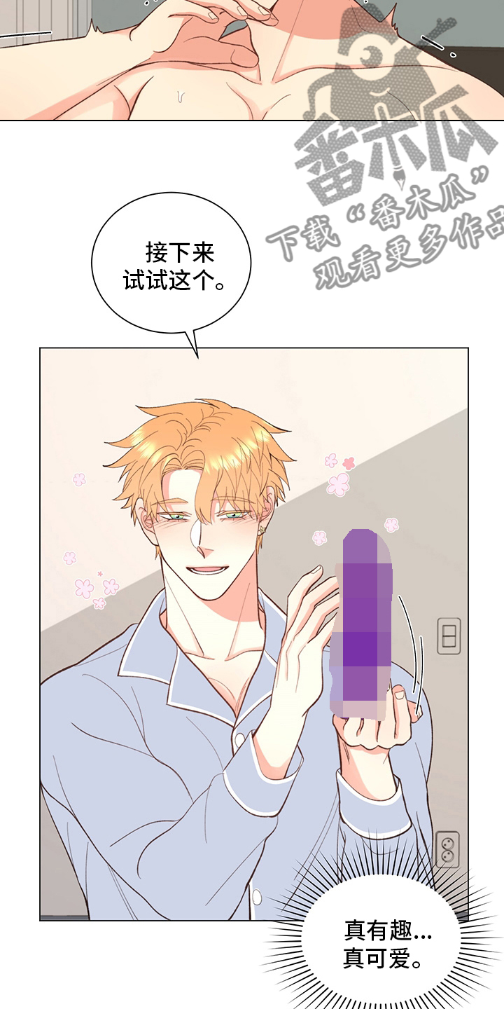 第38章：【番外】玩具18