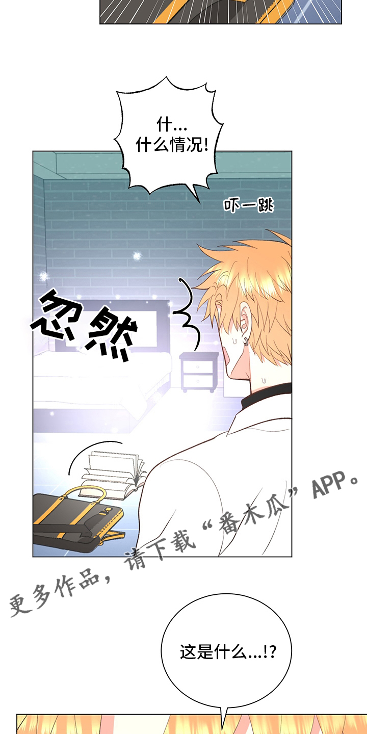 第39章：【番外】书20