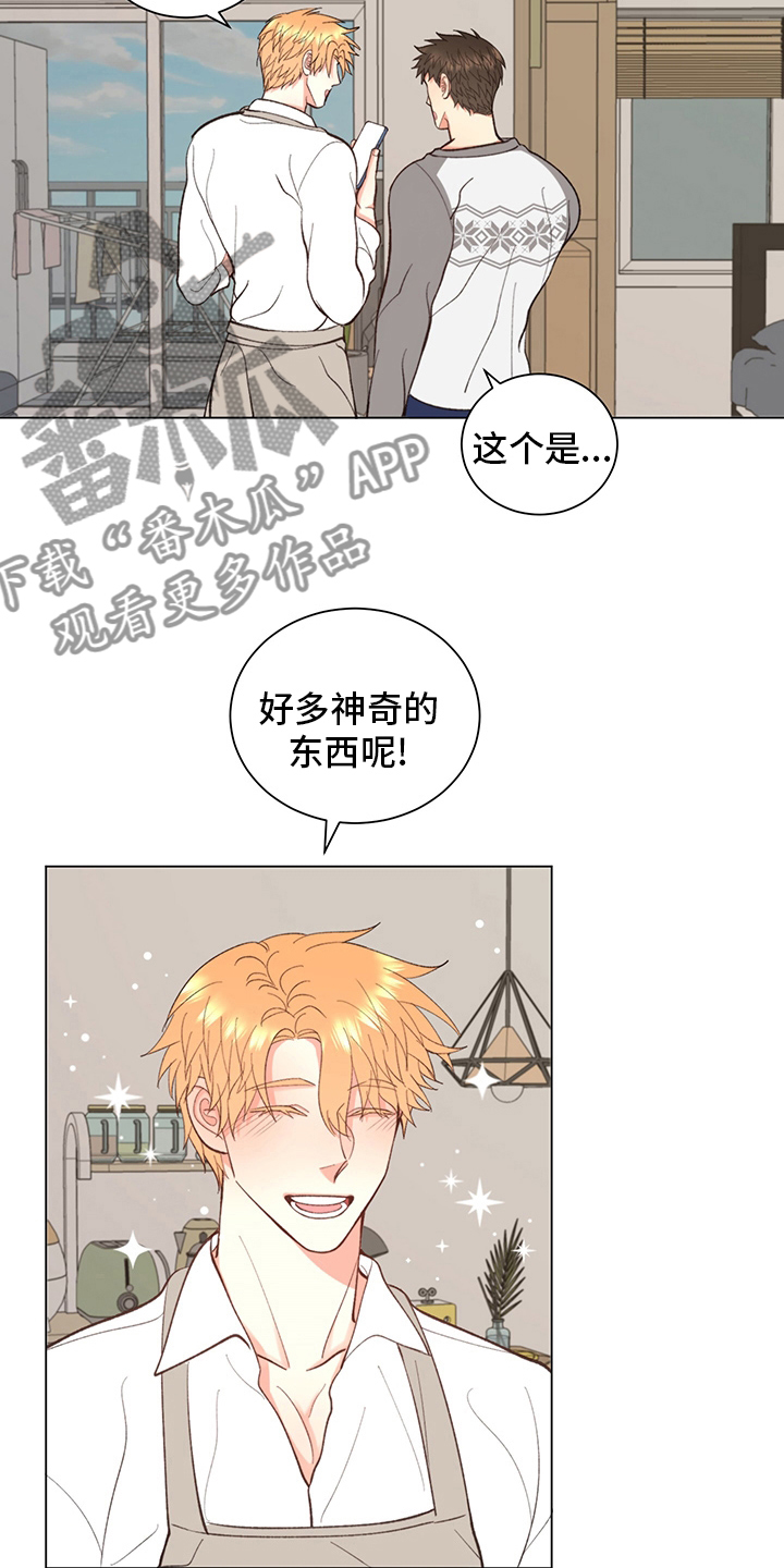 第38章：【番外】玩具10